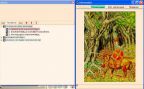 Русские народные сказки. Том 3