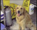 Десятое королевство.  Том 2