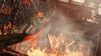 Uncharted 3. Иллюзии Дрейка. Special Ed (PS3) Рус